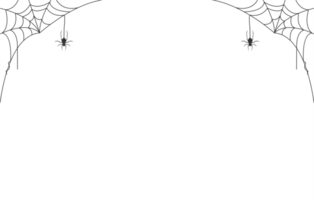 spider web element transparent background png