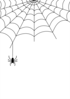 pider web element for halloween design, spider web transparent background png