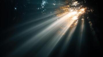 Glowing Fireflies Light Up a Twilight Field photo