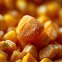 Raw Potential Found In An Uncooked Corn Kernel photo