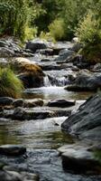 Peaceful Waterfalls On A Curving Brook photo