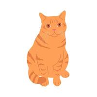 Ginger cat with big eyes is sitting isolated on white background. Red tabby cat vector