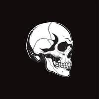 Ilustratin graphic of skull and crossbones vector