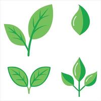 Simple Green Leaf Icons in Solid, Outline, and Flat Styles with Single, Paired, and Sprout Variants vector