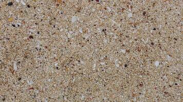 Close-up view of sandy beach surface video