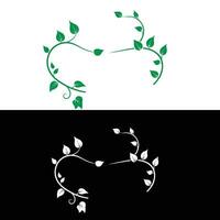 A green and white vine with leaves on it vector