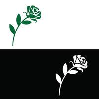 A rose is shown on a white and black background vector