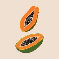 A Duo of Vibrant Papaya Halves, Showcasing Their Bright Orange Flesh and Numerous Black Seeds, Against a Soft, Neutral Background. vector