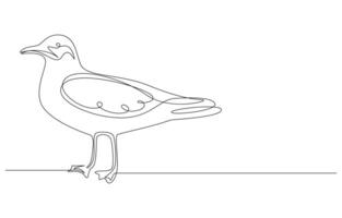 Seagull in Continuous Line Art vector