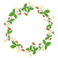Wreath made of hand drawn wild strawberry branches with red berries and white flowers on a white background. This illustration symbolizes natural beauty and fresh summer vibes. vector