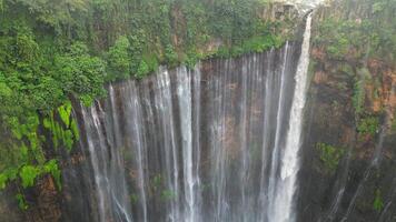 Aerial view of Tumpak Sewu waterfall cascading into deep jungle canyon surrounded by lush rainforest in East Java, Indonesia. video