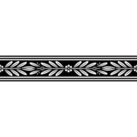 Elegant Botanical Border, Classic vector