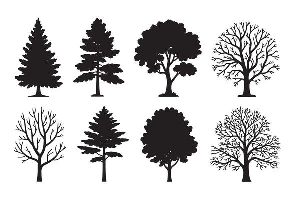 Collection of silhouetted trees in different styles and seasons