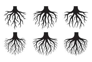 Six black silhouetted tree root systems on a white background vector