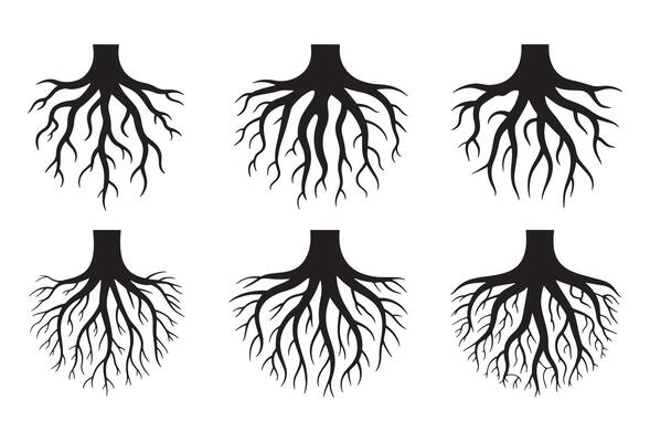 Six black silhouetted tree root systems on a white background