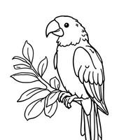 Adorable Parrot Perched on a Branch with Leaves Detailed Line Art for Coloring Fun vector