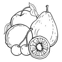A Whimsical Artistic Rendering of Fresh Fruit for a Captivating Coloring Page Experience vector