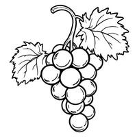 Detailed Line Art Illustration of a Fresh Bunch of Grapes with Leaves for Coloring Pages vector