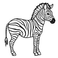 African Wildlife Zebra Line Art Coloring Page for Kids and Adults Simple vector