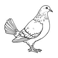 Simple Line Art Coloring Page of a Dove or Pigeon Standing Side View vector