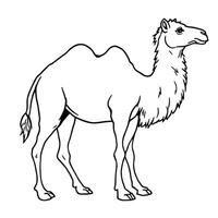 A simple black and white line art drawing of a dromedary camel standing profile view for coloring page vector