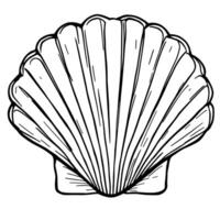 Elegant Seashell Line Art Coloring Page for Artistic Expression and Relaxation vector