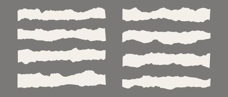Set of torn pieces of paper. Thin and long material strip with jagged edges. Beige ripped horizontal fragments collection. Textured grunge element bundle for collage, text box, banner, sticker. vector