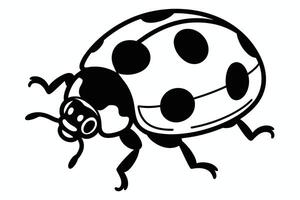 Black and white ladybug illustration with spots and legs on white background vector