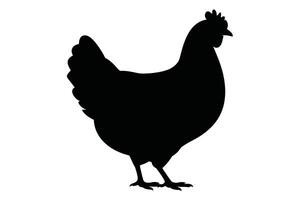 Black Chicken Silhouette on White Background fowl bird vector