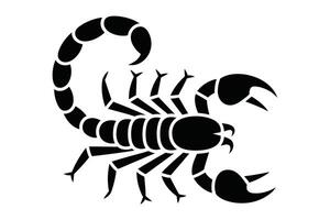 Black Scorpion Silhouette on White Background zodiac vector