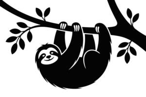 Black and white sloth hanging from tree branch with leaves vector