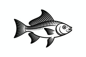 Black and white fish illustration with visible ribcage and fins on white background vector