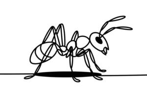 Black and white outline drawing of an ant on a line vector