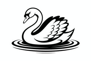 Black and white swan illustration on water with concentric circles vector
