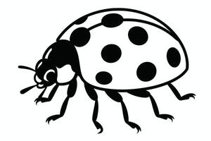 Black and White Ladybug Illustration with Spotted Shell and Six Legs vector