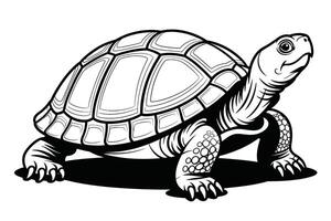 Black and white illustration of a turtle with detailed shell and claws vector