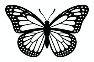 Black and white butterfly illustration with detailed wing patterns on white background vector