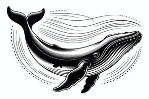 Black and white whale illustration with flowing lines and dotted accents vector