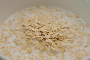 Oats soaking in milk for a healthy breakfast preparation photo