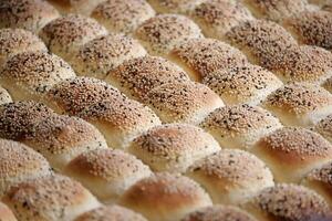 Freshly baked sesame rolls arranged in neat rows photo