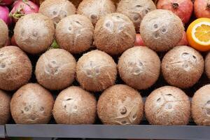 Close-Up View of Fresh Whole Coconuts Arranged in Rows Display photo