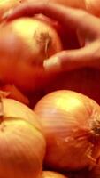 A hand examines yellow onions under warm lighting in a supermarket setting, conveying a sense of careful selection video