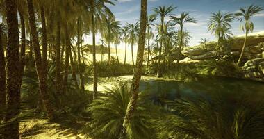 Cinematic CGI Lush oasis surrounded by palm trees in a sunlit desert landscape video