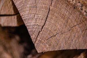 Close-up of Wood Grain and Texture photo