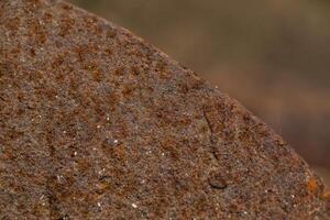 Close-up of a rusty metal surface with detailed texture. photo