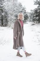 Frosty forest with holiday mood photo