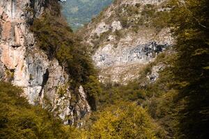 Peaceful nature with vibrant autumn trees and hills photo
