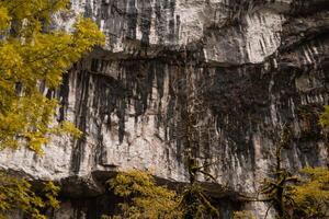 Waterfall flowing through colorful mountain forest photo