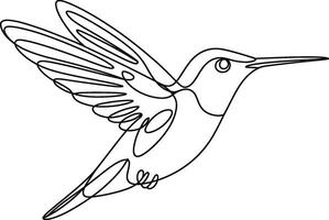 Black Line Art Hummingbird in Flight on White Background vector