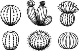Black and White Cactus Illustrations on White Background vector